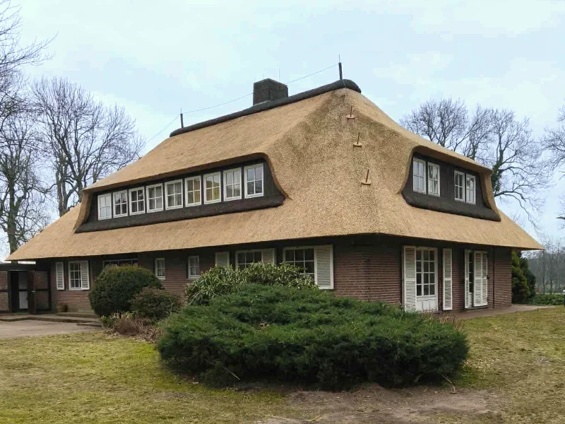 Modern thatched roof architecture