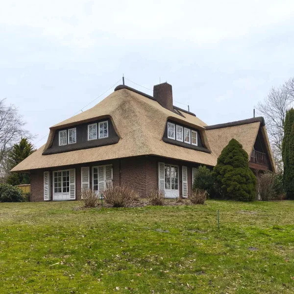 Modern thatched-roof house
