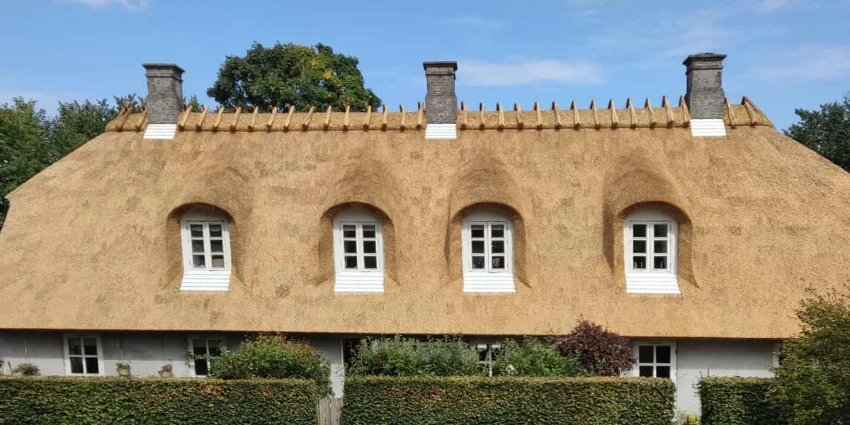 Thatched roof with four arched dormer windows