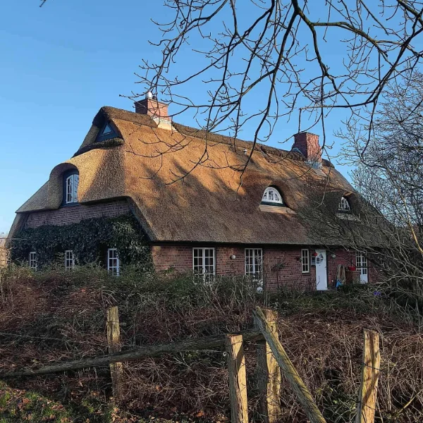 Thatched-roof cottage